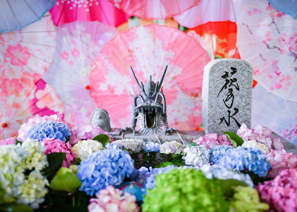 札幌諏訪神社　花手水